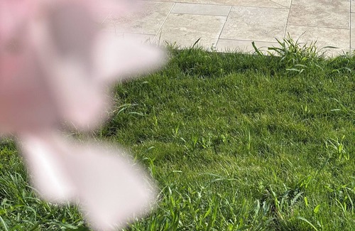 Stubenberg Apartment | Apartment Relax T2 - Stubenbergsee