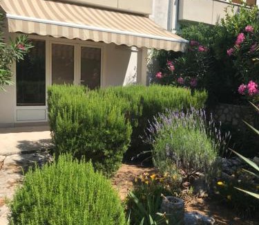 Gajac Apartment | Apartment Sara M