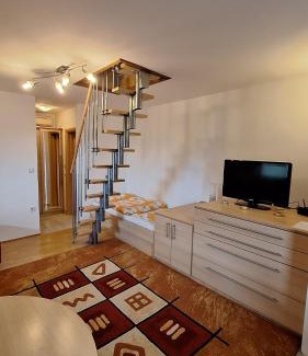 Podcetrtek Apartment | Apartment Seka