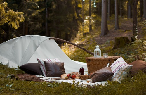 Zrece Apartment | Apartment Smogavc - Tisa