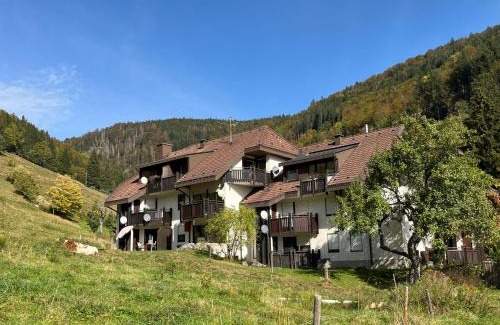 Todtnau Apartment | Apartment Sonnenblick II by Interhome