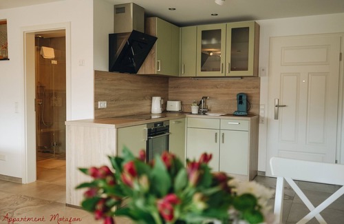 Bad Krozingen Apartment | Apartment-Standard-Private Bathroom-Balcony