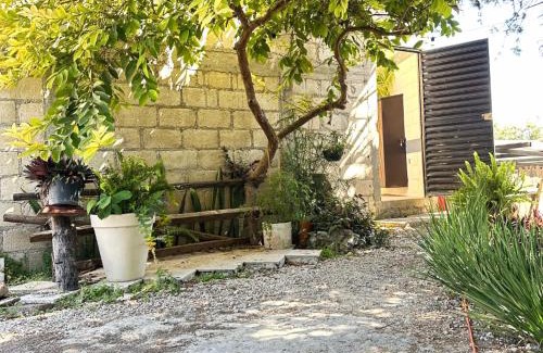 Comitan de Dominguez Apartment | Apartment & studio with city views