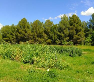 San Martin Sarroca Apartment | Apartment with private pool and garden