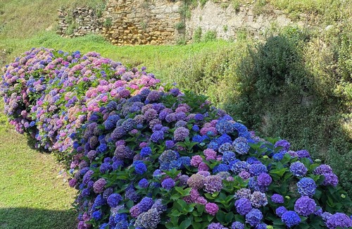 Figueras (Castropol) Apartment | Apartment with private garden and sea views on the coast of Asturias