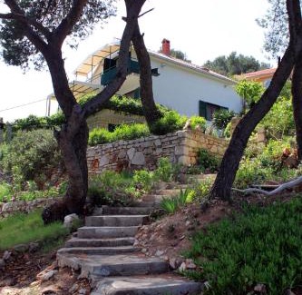 Cove Basina (Jelsa) Apartment | Apartments by the sea Basina, Hvar - 542