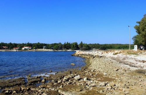 Krizine Apartment | Apartments by the sea Sveti Ivan, Umag - 9692