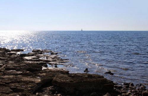 Krizine Apartment | Apartments by the sea Sveti Ivan, Umag - 9692