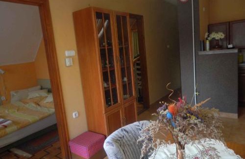 Cserkeszolo Apartment | Apartments in Cserkeszolo - Ostungarn 34460