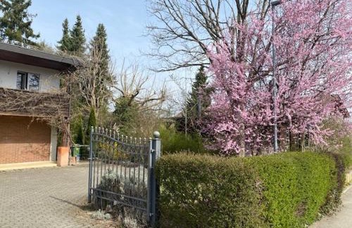 Kehrsatz Apartment | Apartments in Leafy Suburb