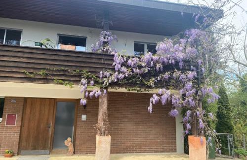 Kehrsatz Apartment | Apartments in Leafy Suburb