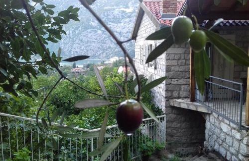 Risan Apartment | Apartments in Rustic House