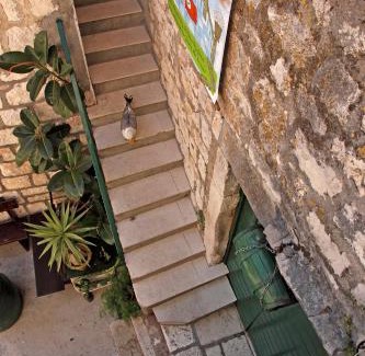 Hvar Old Town Apartment | Apartments Mima Hvar