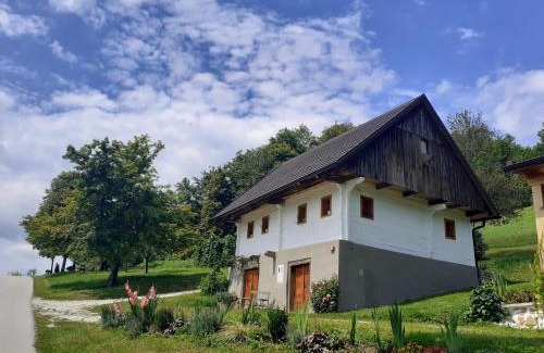 Bostanj Ski Chalet | Apartments Pajek & Pajčevina on the Hayrack