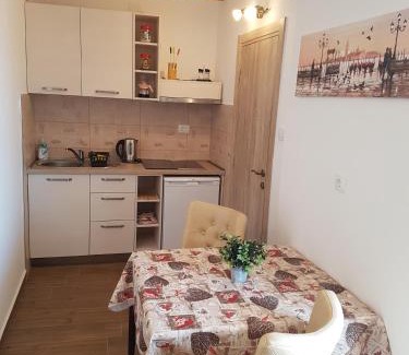 Kotor Apartment | Apartments Peranovic 2