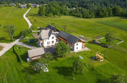 Bodesce Apartment | Apartments Pr Fajfarju