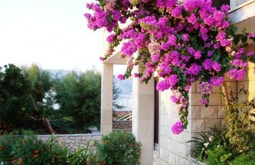 Povlja Apartment | Apartments Villa Vanja