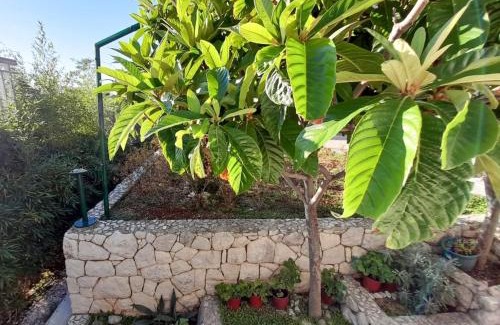 Brela Apartment | Apartments with parking space Brela, Makarska - 18417
