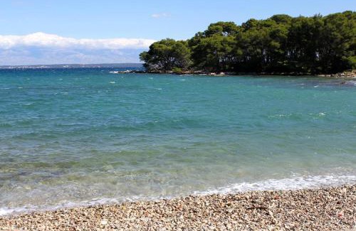 Batalaza Apartment | Apartments with parking space Ugljan - 8527