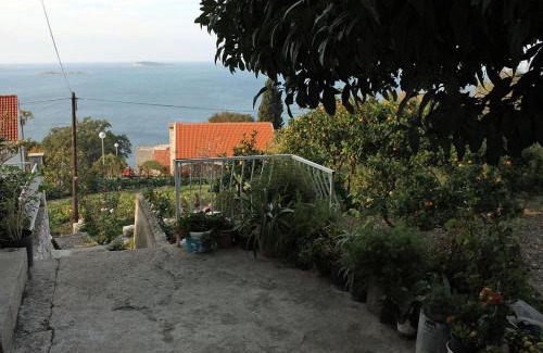 Plat Apartment | Apartments with parking space Plat, Dubrovnik - 4776