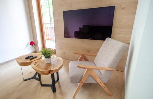 Zakopane Apartment | ApartSerwis Apartament Orkana Harmonia