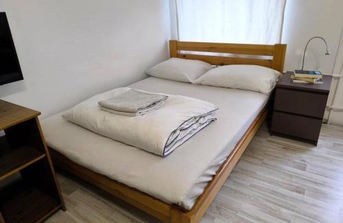 Srodmiescie Apartment | Aparttrans Wroclaw Botanic Garden