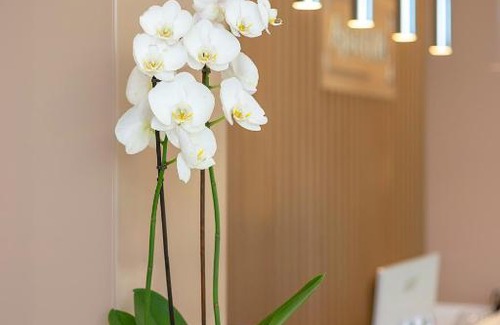 Kirovograd Hotel | ApartUA Кропивницький