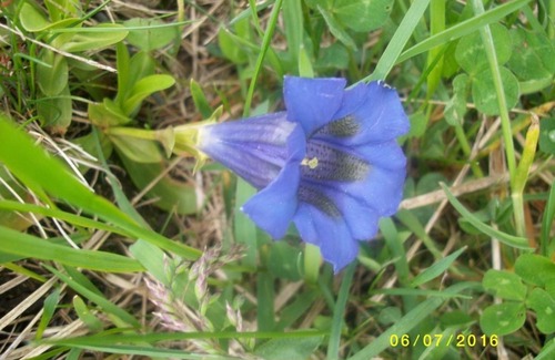 Stadl-Predlitz Apartment | App 1