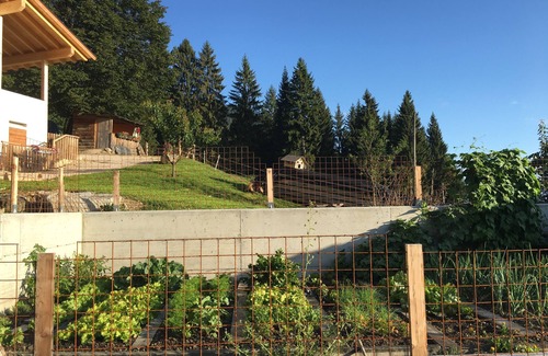 Tesimo Apartment | App. St. Sebastian in a cozy chalet with garden and terrace