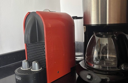 Constantine Apartment | Apparently jasmines