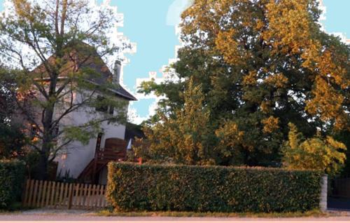 Villeneuve d'Aveyron House | Appart Bibi