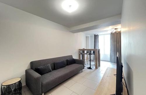 Olivet Apartment | Appart du Bourg 2 chambres Olivet Centre
