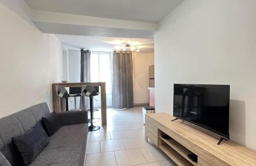 Olivet Apartment | Appart du Bourg 2 chambres Olivet Centre