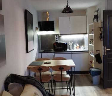 Saint-Sorlin-d'Arves Apartment | Appart. lumineux à St-Sorlin d'Arves (Sybelles)