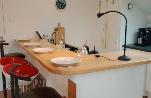 Neudorf - Port du Rhin Condo | ♥Appart + terrace: 77m2+ 24m2 = 1500 € l/weekspecial pricefoe long stays