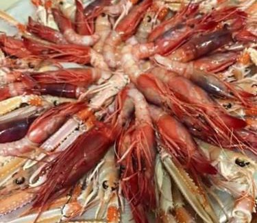 Savelletri Apartment | appartamenti del pescatore