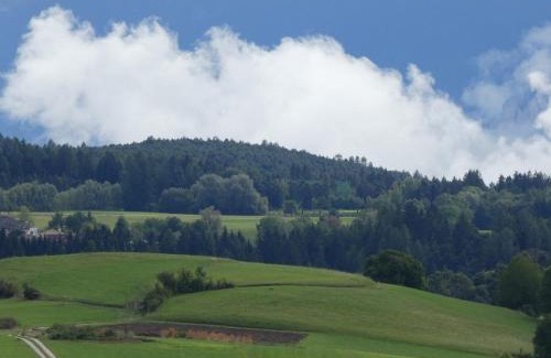 Fondo Apartment | Appartamento a 1000 metri