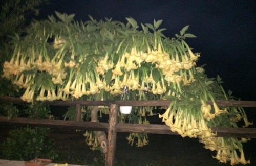 Torpe Apartment | Appartamento a pochi minuti dal mare