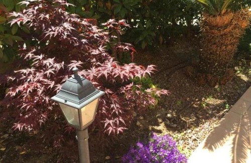 Imperia House | Appartamento a schiera con giardino