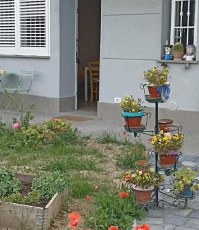 Anzola dell'Emilia Bed & Breakfast | Appartamento B&B Cà Betty