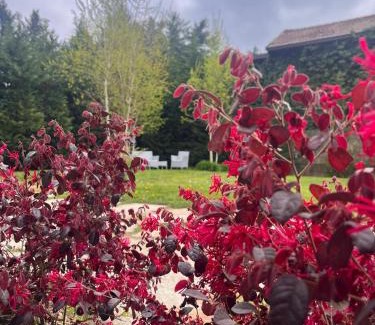 Casorate Sempione Bed & Breakfast | appartamento comfort Malpensa check in h 24 posto auto privato