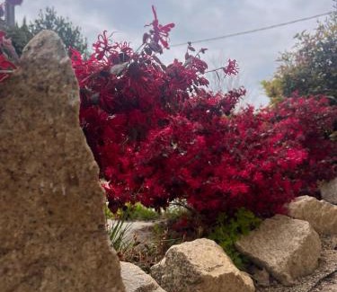 Casorate Sempione Bed & Breakfast | appartamento comfort Malpensa check in h 24 posto auto privato