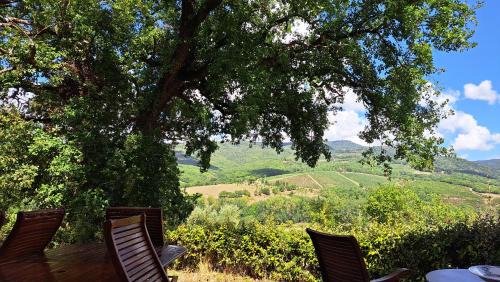 Radda in Chianti Apartment | Appartamento Holly House