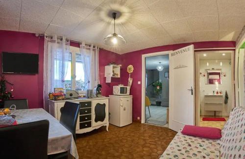 Saint-Victor-de-Cessieu Apartment | Appartement charmant à Saint-Victor-de-Cessieu - 30 m² - Terrasse