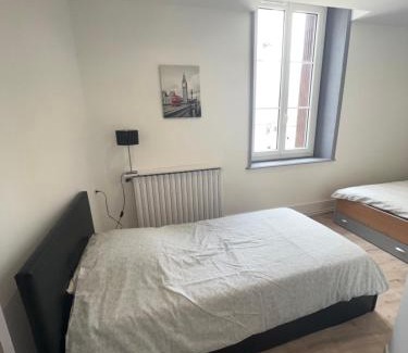 La Tour-du-Pin Apartment | Appartement de la laverie