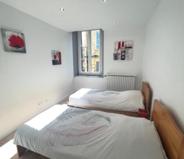 La Tour-du-Pin Apartment | Appartement de la laverie