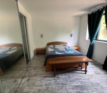 Wingen-sur-Moder Apartment | Appartement en lisière de forêt