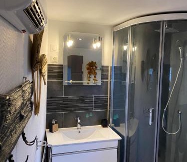 Plombieres-les-Bains Apartment | Appartement cocooning a ruaux