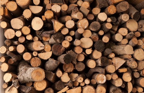 Lech am Arlberg House | Appartement Graf