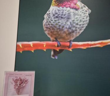 Cholet Apartment | Appartement "Le Colibri" centre Cholet 5pers